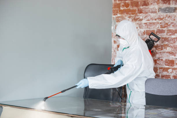 Why You Should Choose Our Mold Remediation Services in Franklinville, NJ